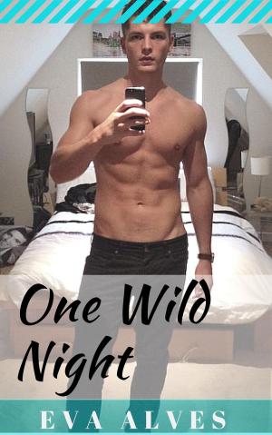 Cover of the book One Wild Night by Robert Paine