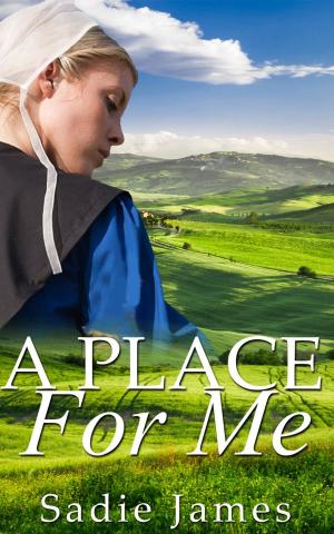 Book cover of A Place for Me