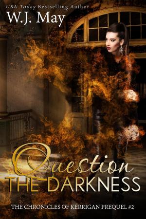 Cover of the book Question the Darkness by Michelle Windsor
