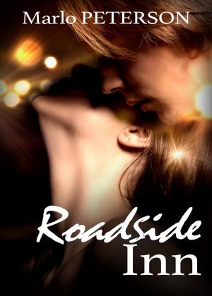 Cover of the book Roadside Inn #1 by Katee Robert