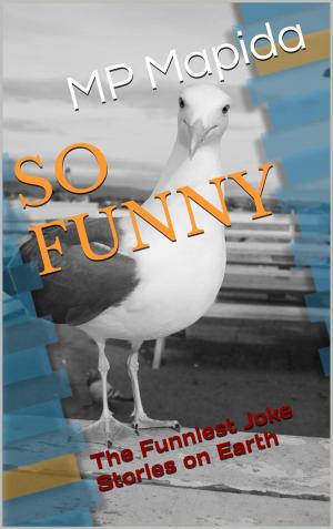 Cover of the book SO FUNNY by David Romanelli