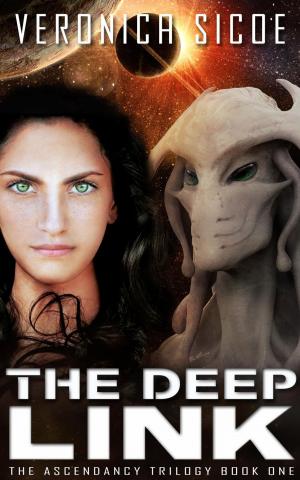 Cover of the book The Deep Link by S.R. Bond