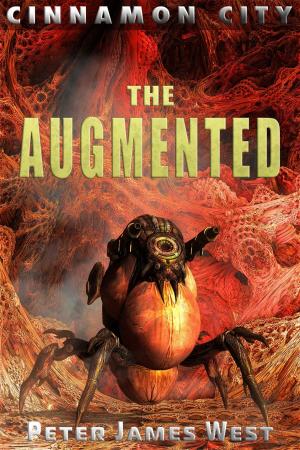Cover of the book The Augmented by Michael Rhodes