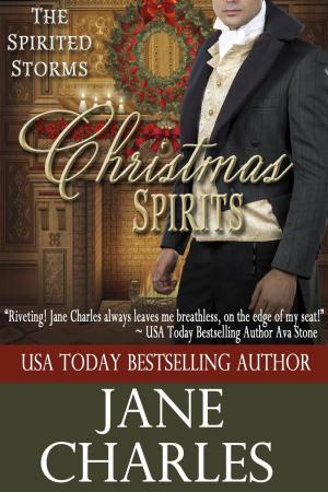 Cover of the book Christmas Spirits by Stephen Godden
