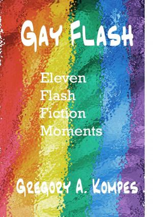 Cover of the book Gay Flash by Michael Canfield