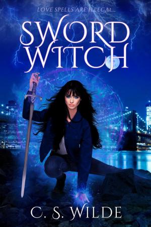 bigCover of the book Sword Witch by 