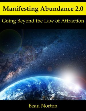 Book cover of Manifesting Abundance 2.0: Going Beyond the Law of Attraction