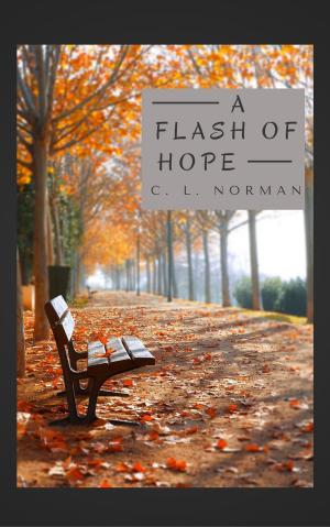 Cover of the book A Flash of Hope by Corey Madden