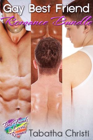 bigCover of the book Gay Best Friend Romance Bundle by 
