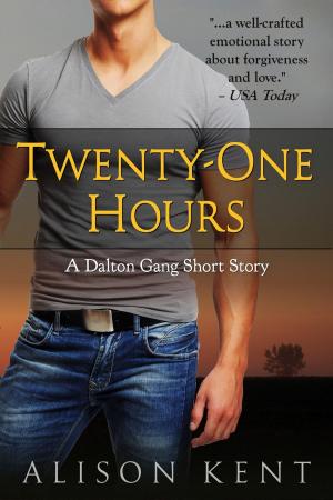 Book cover of Twenty-One Hours