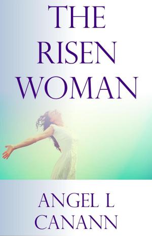 Cover of the book The Risen Woman by Jonathan Goldman
