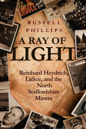 Cover of A Ray of Light