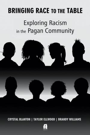 Cover of the book Bringing Race to the Table by Erynn Rowan Laurie