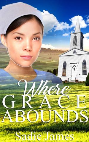 Book cover of Where Grace Abounds