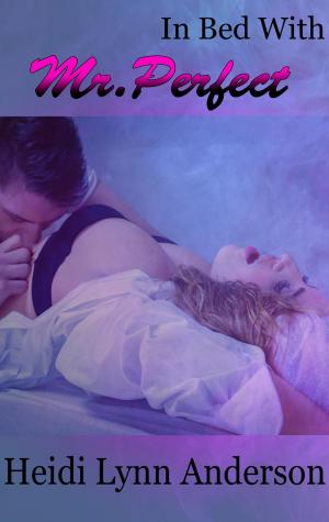Cover of the book In Bed with Mr. Perfect by Lizbeth Dusseau