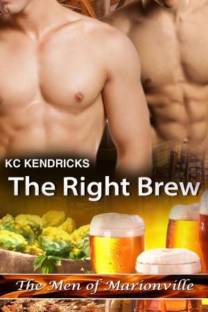 Cover of the book The Right Brew by Alannah Carbonneau