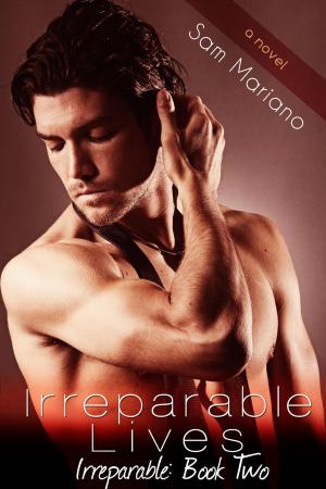 Cover of the book Irreparable Lives by Alannah Carbonneau