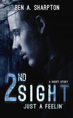 Cover of 2nd Sight: Just A Feelin'