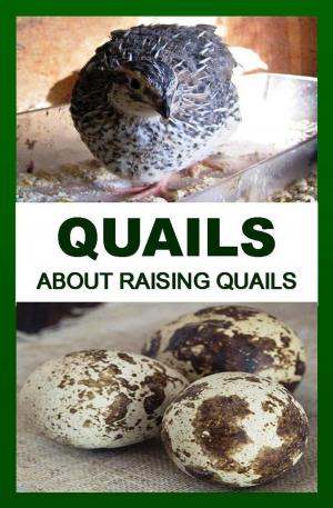 Book cover of QUAILS: About Raising Quails