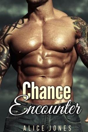 bigCover of the book Chance Encounter by 