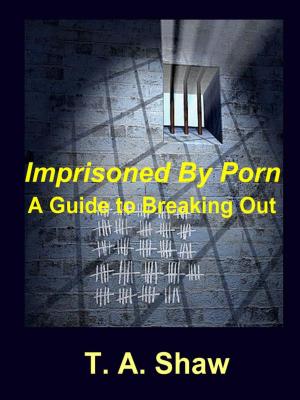 Book cover of Imprisoned By Porn