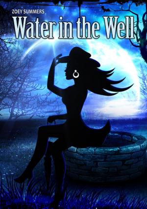bigCover of the book Water in the Well by 