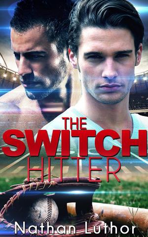 Cover of the book The Switch Hitter by Me Florence Langlois