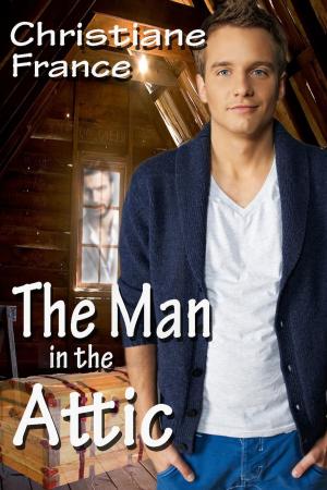 Cover of The Man In The Attic