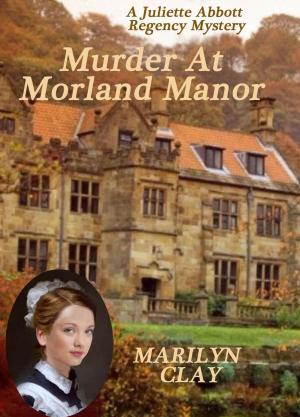 Cover of the book Murder at Morland Manor by Debbie Viguié