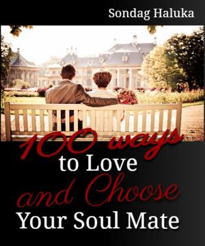 bigCover of the book 100 Ways to Love and Choose your Soulmate: A not so long life Journey of learning to find your Husband or Wife by 