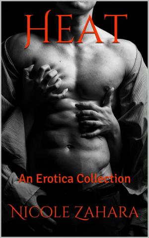 Book cover of Heat - An Erotica Collection
