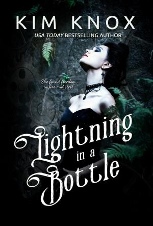 Cover of the book Lightning in a Bottle by Violet Pollux