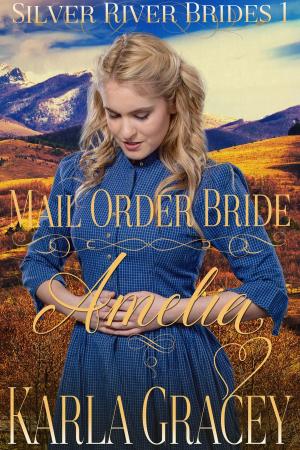 Cover of the book Mail Order Bride Amelia by Carlotta Mastrangelo