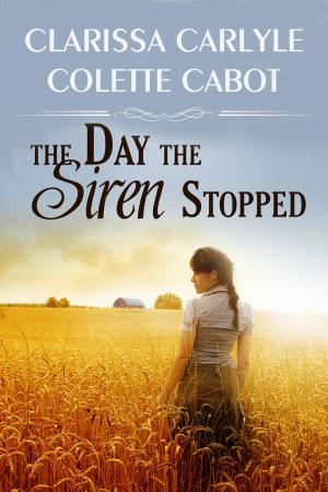 Book cover of The Day the Siren Stopped