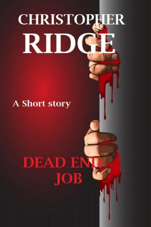 Cover of the book Dead End Job by Christopher Ridge