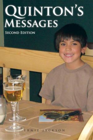Cover of the book Quinton's Messages by Francisco José Soler Gil, Miguel Pérez de Laborda, Claudia E. Vanney