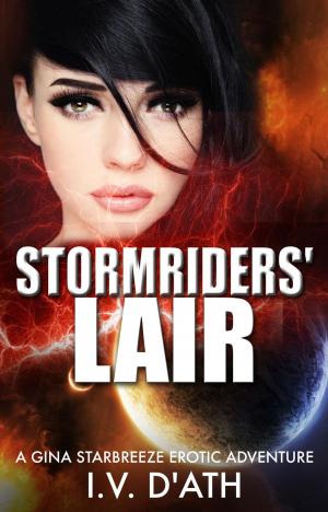bigCover of the book Stormriders' Lair by 