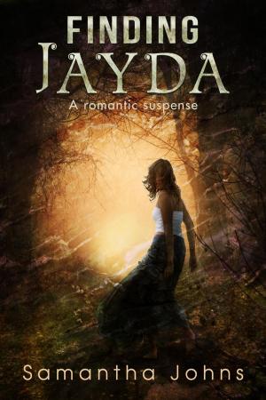 Cover of Finding Jayda (a Romantic Suspense Novel)
