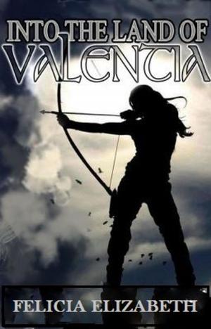 Cover of the book Into the Land of Valentia by Cassandra Rose Clarke