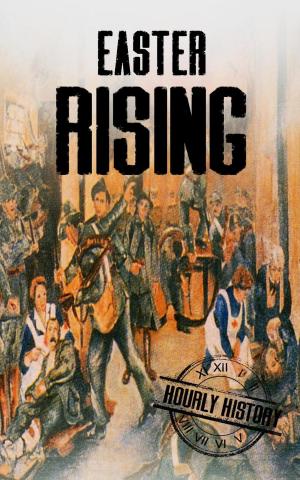 bigCover of the book Easter Rising: A History From Beginning to End by 