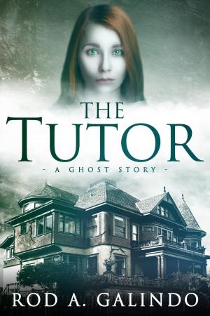 Cover of the book The Tutor: A Ghost Story by Kiersten Fay