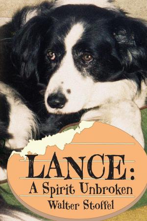 Cover of the book Lance: A Spirit Unbroken by Patrice Gendelman