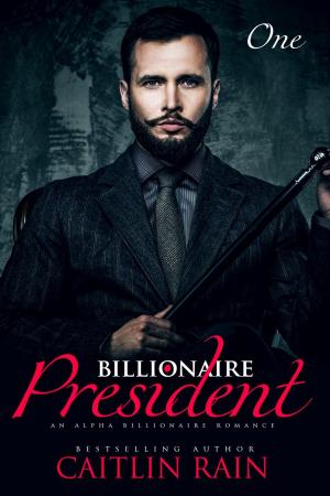 bigCover of the book The Billionaire President (Billionaire President, Book One) (An Alpha Billionaire Romance) by 