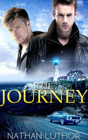 Cover of the book The Journey by Emmanuelle Ousset