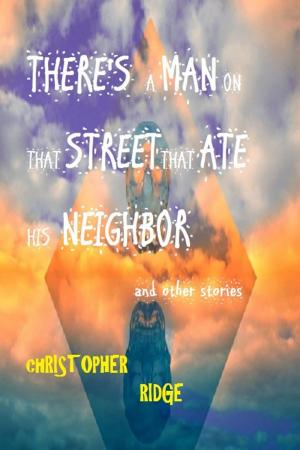 Cover of the book There's a Man on that Street by Christopher Ridge
