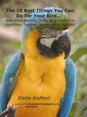 Book cover of The 10 Best Things You Can Do For Your Bird