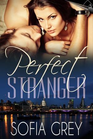 Cover of the book Perfect Stranger by Allyson Lindt