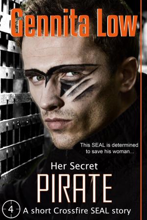 Cover of the book (Her Secret) Pirate by nigel bird