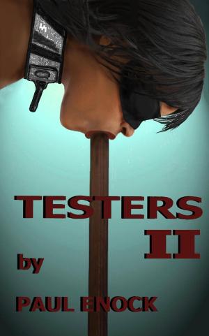 bigCover of the book Testers II by 