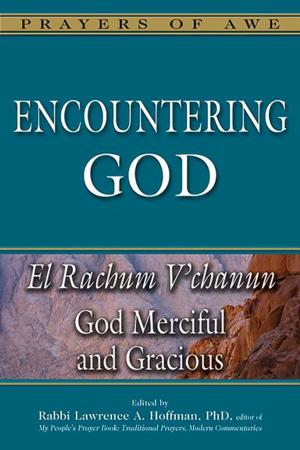 Cover of the book Encountering God by Nan Kathryn Fuchs